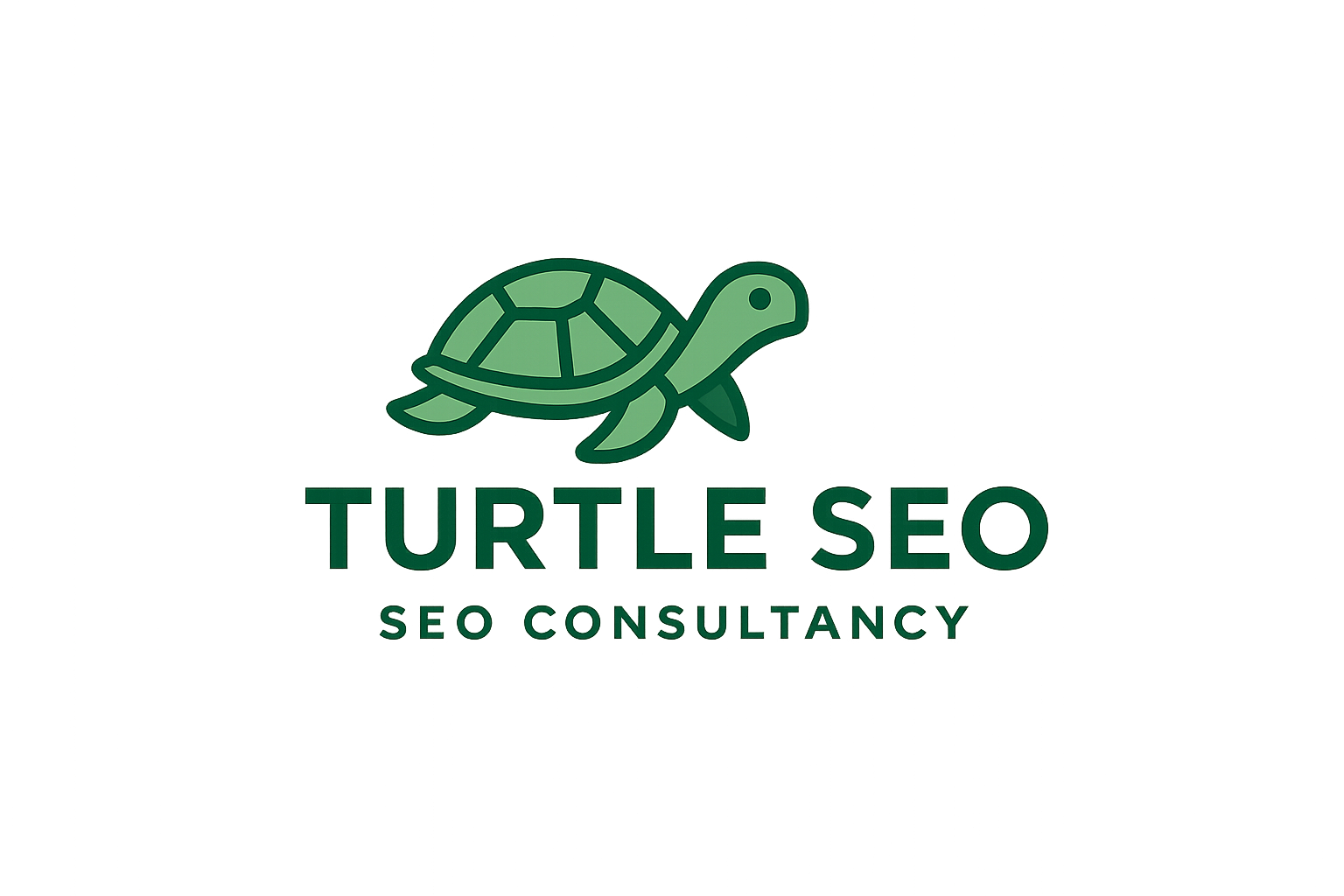 Turtle SEO - SEO Consultancy